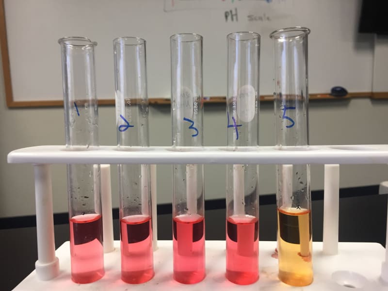What is pH? Test the Rainbow in Chemistry class
